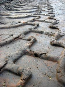 Tractors Tire Tracks in Clay Showing Soil Compaction