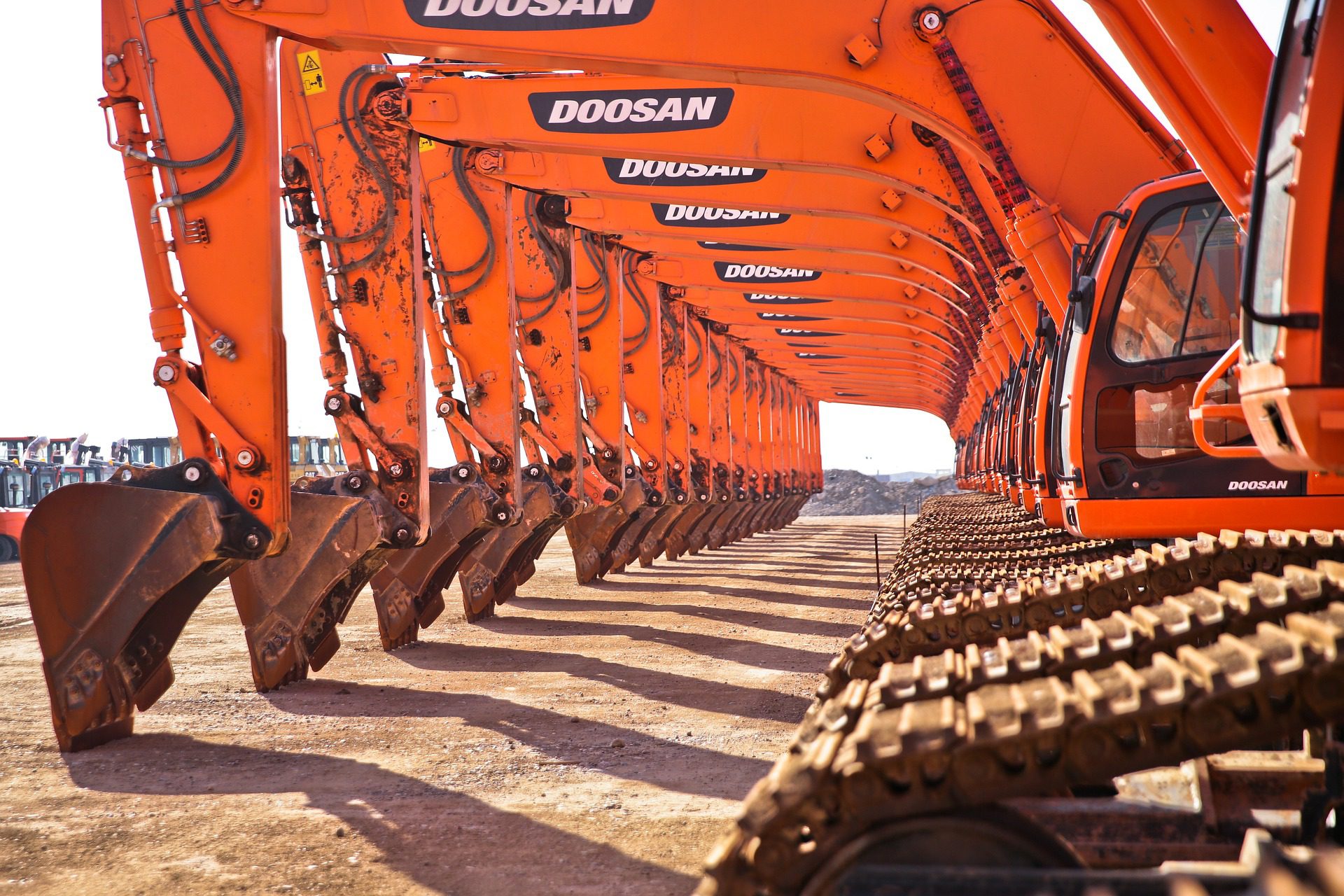 A row of Doosan excavators at a lease dealership